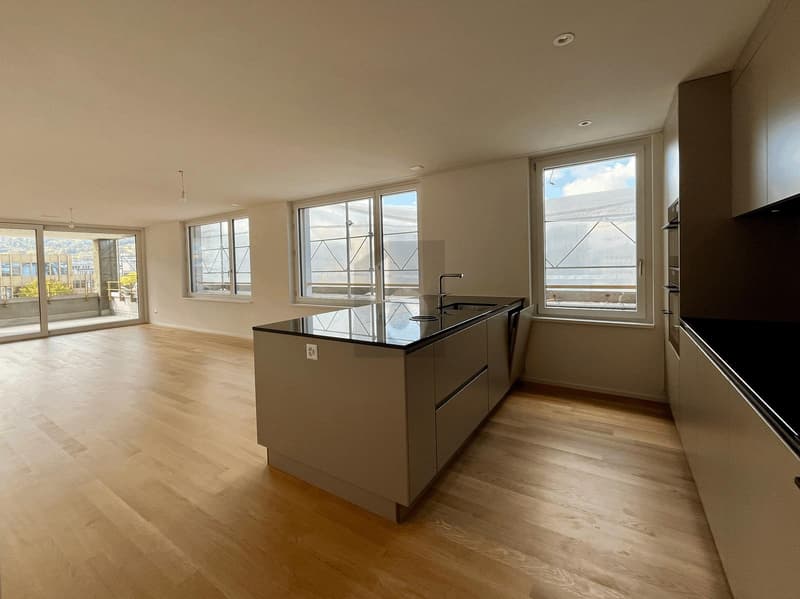 ERSTBEZUG: GROSSER BALKON, SICHT AUF DEN ÜETLIBERG (2)