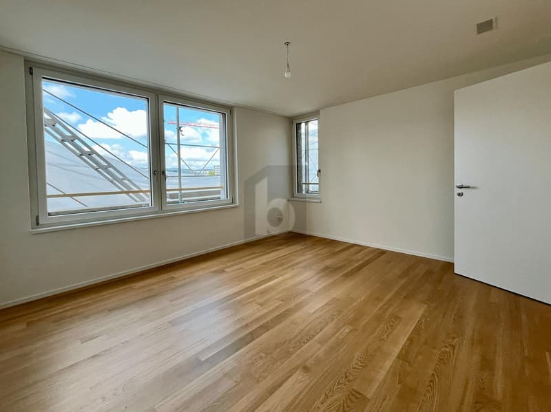 ERSTBEZUG: GROSSER BALKON, SICHT AUF DEN ÜETLIBERG (4)
