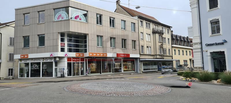 PRATIQUE, LUMINEUX ET CENTRAL (1)