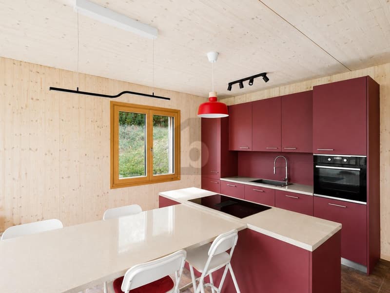CONTEMPORAINE ET FINITIONS HAUT DE GAMME (5)