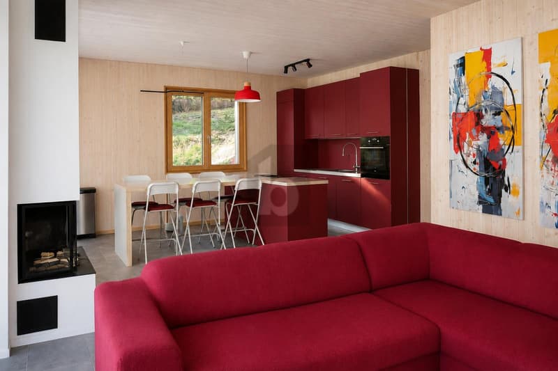CONTEMPORAINE ET FINITIONS HAUT DE GAMME (4)