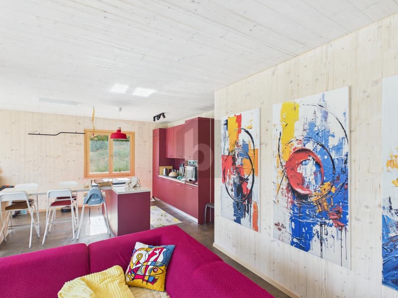 CONTEMPORAINE ET FINITIONS HAUT DE GAMME (3)
