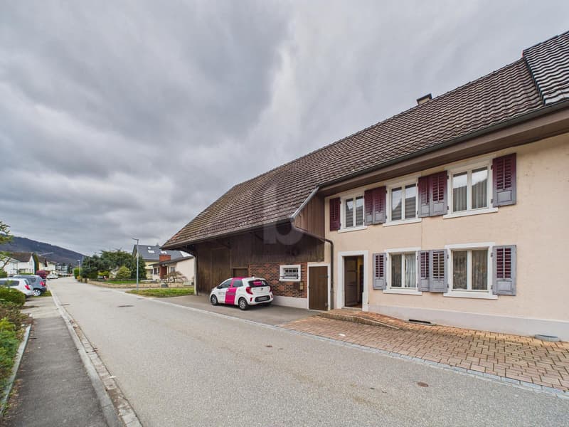 VIEL PLATZ - MIT SCHEUNE UND GROSSEM GARTEN! (1)