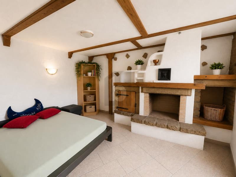 PREISHIT! WOHNEN UND ARBEITEN MIT GROSSER TERRASSE (3)