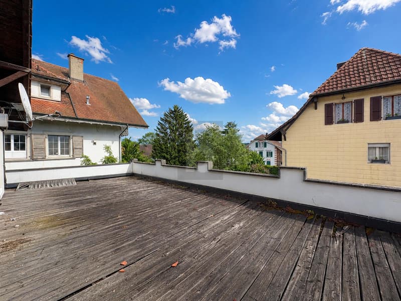 PREISHIT! WOHNEN UND ARBEITEN MIT GROSSER TERRASSE (4)