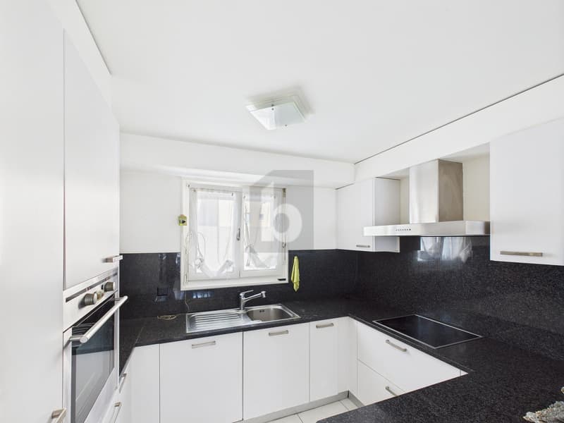 SOLEGGIATO E SPAZIOSO DUPLEX (3)