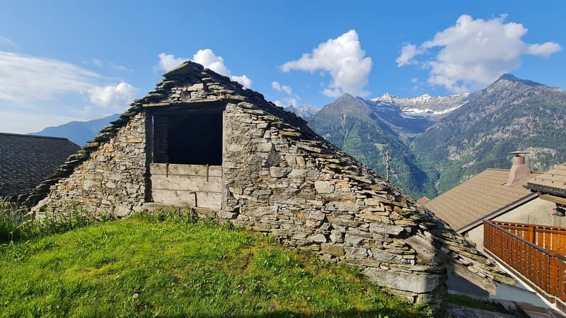 SOLEGGIATO, IN POSIZIONE TRANQUILLA (3)