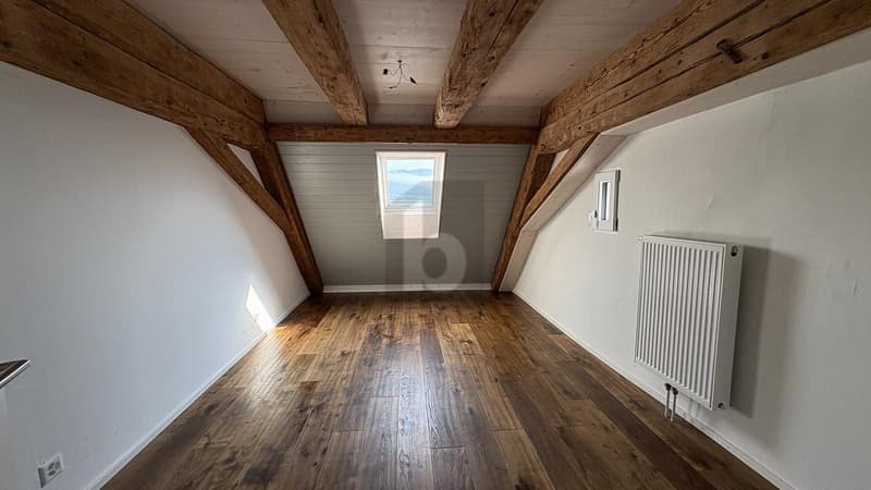 APPARTEMENT DE CHARME EN VIEILLE VILLE (4)