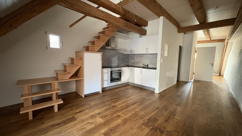 APPARTEMENT DE CHARME EN VIEILLE VILLE (1)