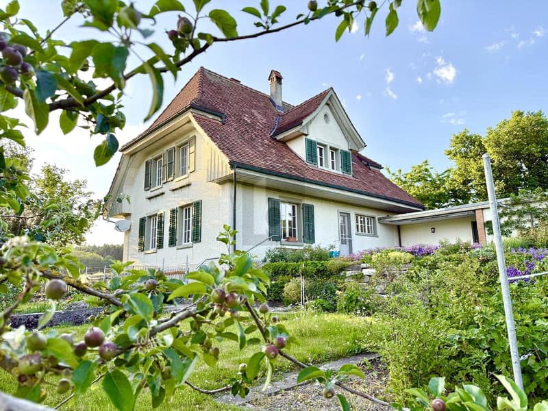 IDEAL FÜR GARTENLIEBHABER UND SELBSTVERSORGER (1)