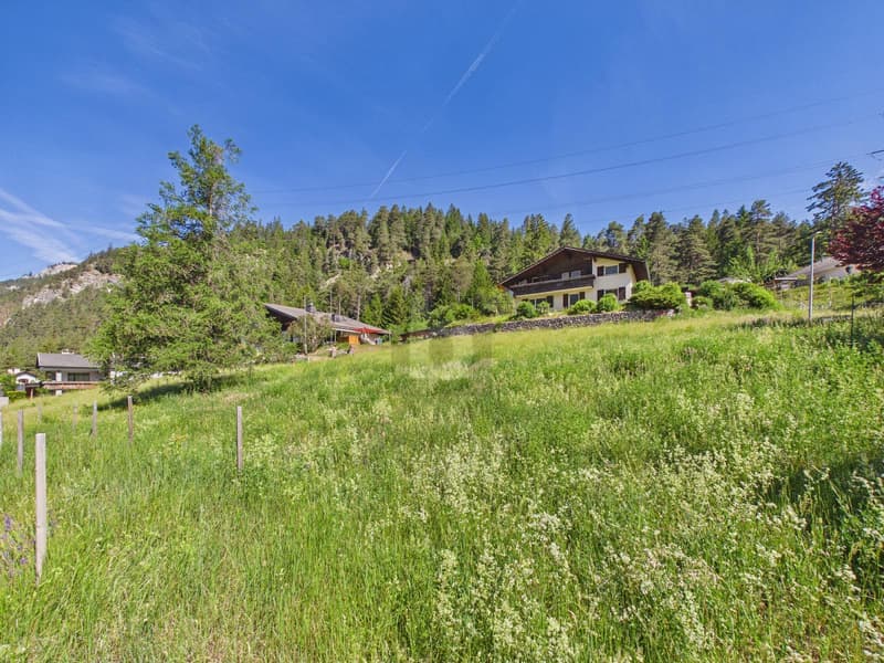 SONNIGE AUSSICHTSLAGE MIT BERGPANORAMA (3)