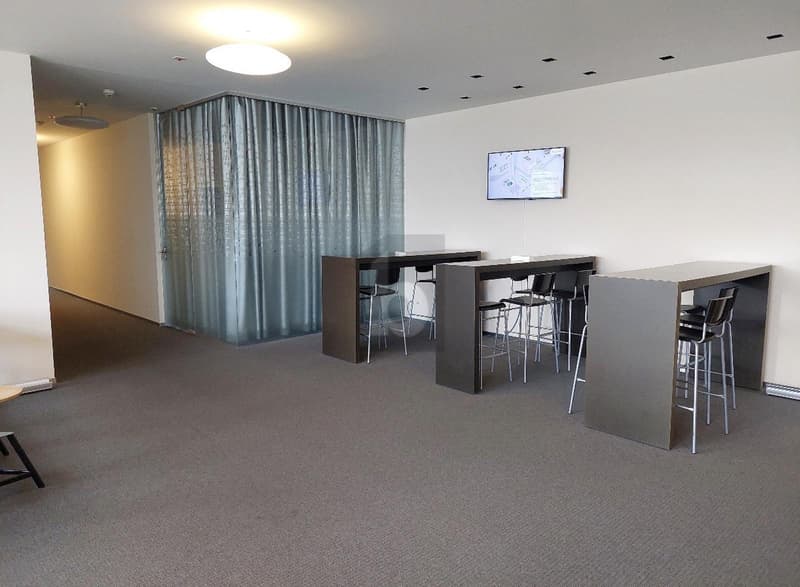 REPRESENTATIV MIT VIEL TAGESLICHT (4)