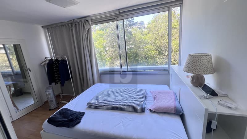 IDÉAL INVESTISSEURS AVEC PISCINE (5)