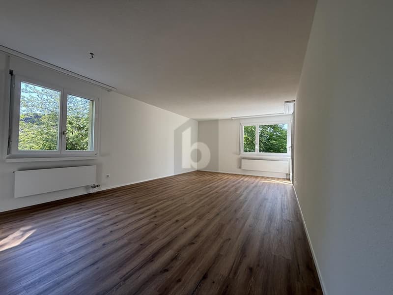 FRISCH RENOVIERT MIT GROSSEM BALKON (2)