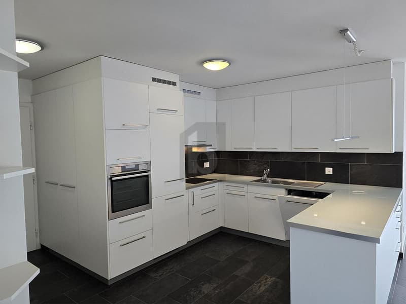 CONTEMPORAIN AU QUARTIER DES PÂQUERETTES (3)