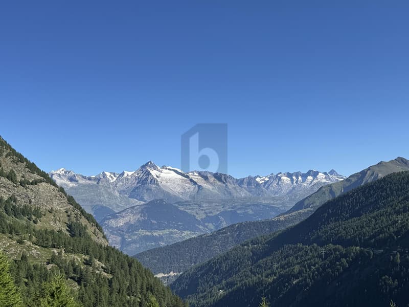 OPPORTUNITÉ HÔTELIÈRE UNIQUE AU CUR DES ALPES (2)