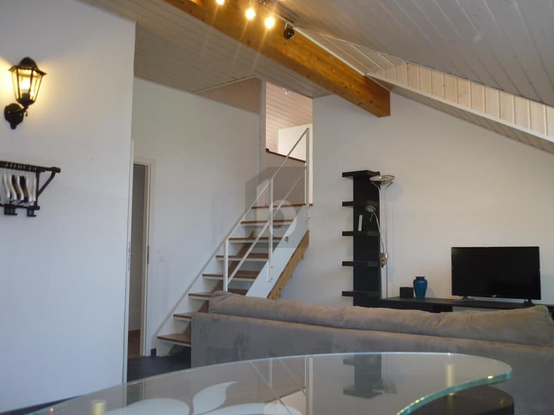DUPLEX MEUBLÉ DE CHARME (4)