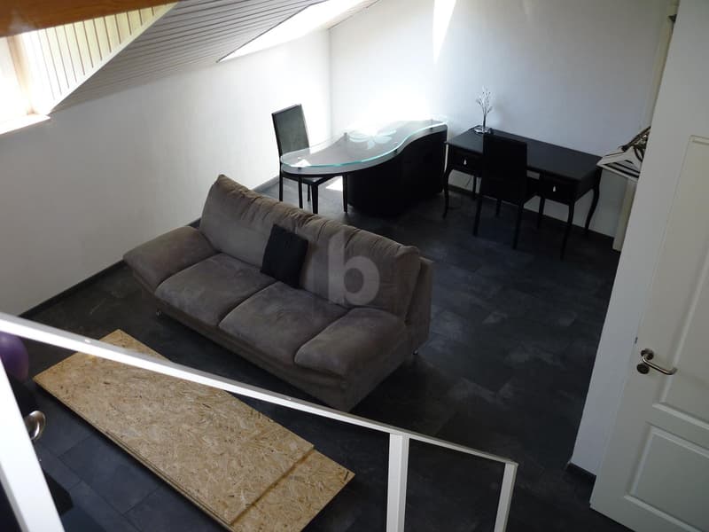 DUPLEX MEUBLÉ DE CHARME (2)