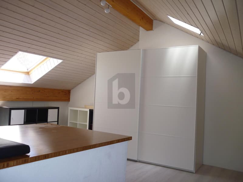 DUPLEX MEUBLÉ DE CHARME (5)