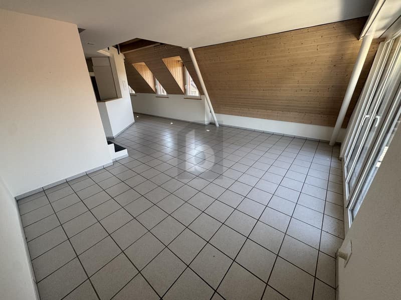 WOHNEN AUF ZWEI EBENEN MIT GALERIE UND BALKON (2)