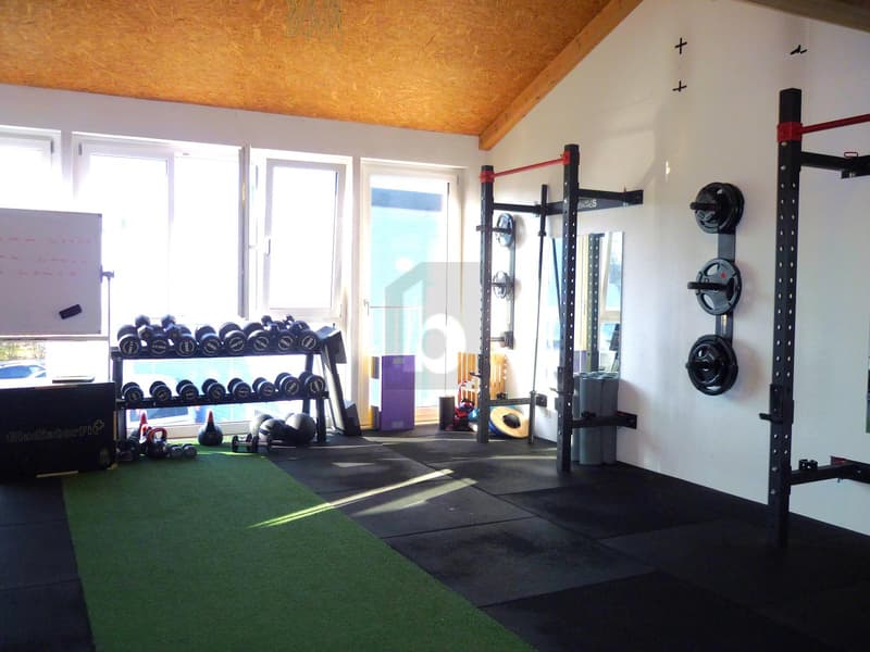ESPACE MODERNE LUMINEUX + MEZZANINE ! (5)