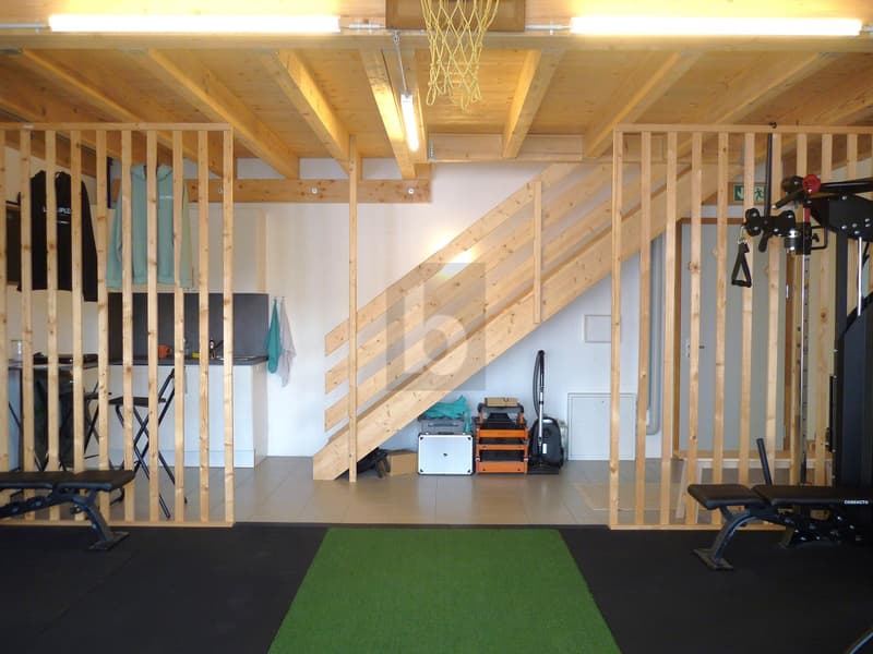 ESPACE MODERNE LUMINEUX + MEZZANINE ! (3)