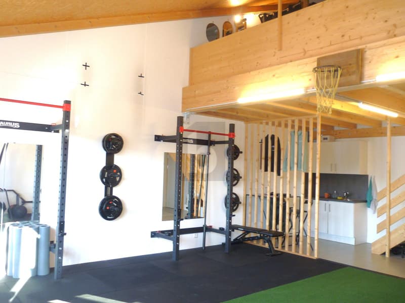 ESPACE MODERNE LUMINEUX + MEZZANINE ! (2)