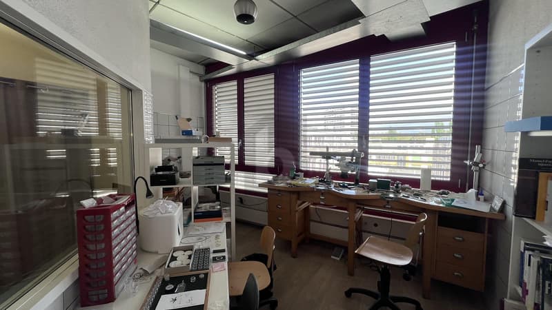 LUMINEUX, CALME & PRATIQUE (4)
