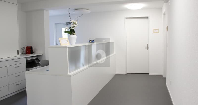 ZENTRALE PRAXIS MIT CHARME (2)