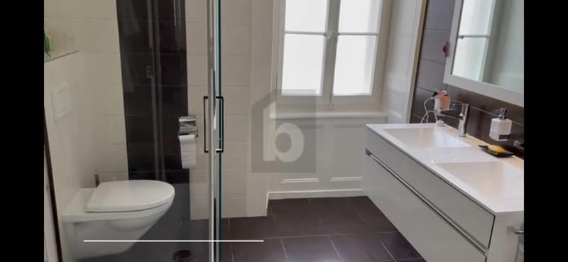 TRÈS JOLIE CHAMBRE MEUBLÉE DE 25M2 (3)