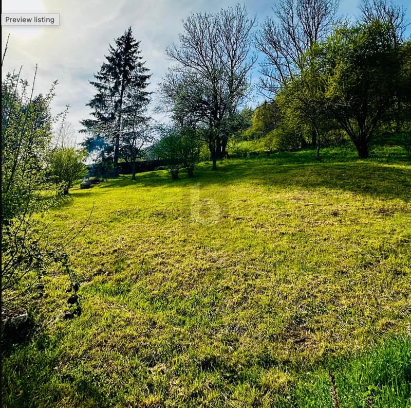 POTENTIEL AU CUR DE SONVILIER (1)