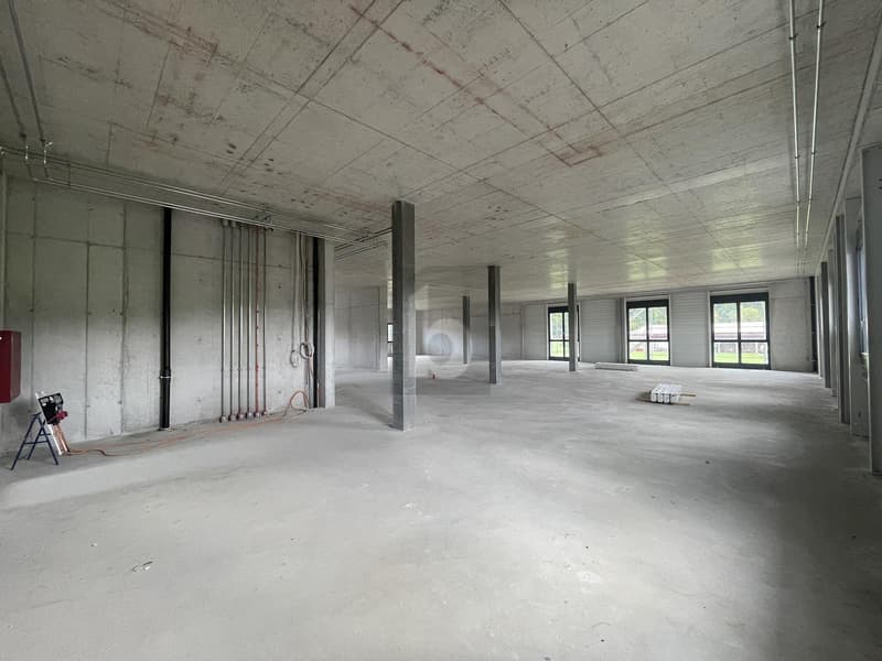 NEUBAUPROJEKT FÜR IHR UNTERNEHMEN (2)