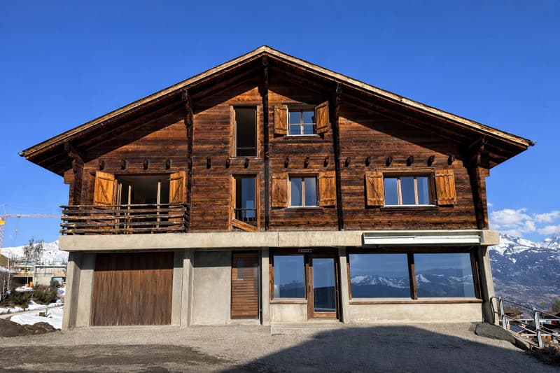 FACE AUX ALPES AVEC UN POTENTIEL EXCEPTIONNEL (2)