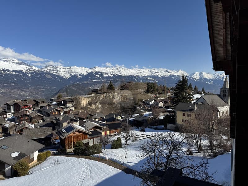 FACE AUX ALPES AVEC UN POTENTIEL EXCEPTIONNEL (4)