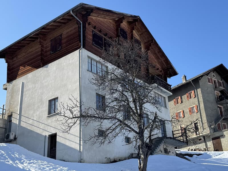 FACE AUX ALPES AVEC UN POTENTIEL EXCEPTIONNEL (3)
