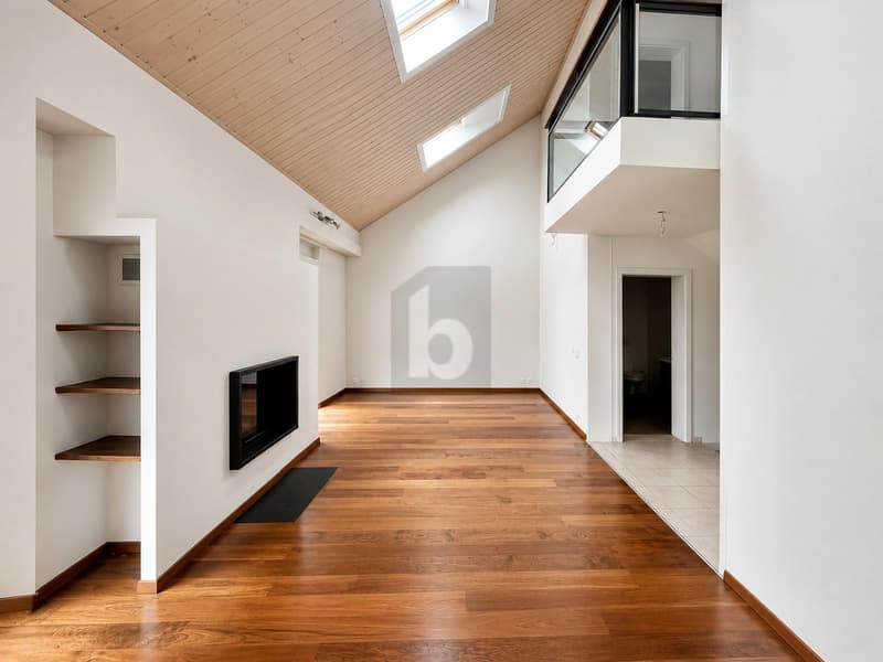 PRIX TOP! LUXUEUX SUR TROIS ÉTAGES (3)