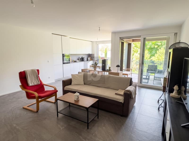 ÉLÉGANT, MODERNE ET MINERGIE (1)