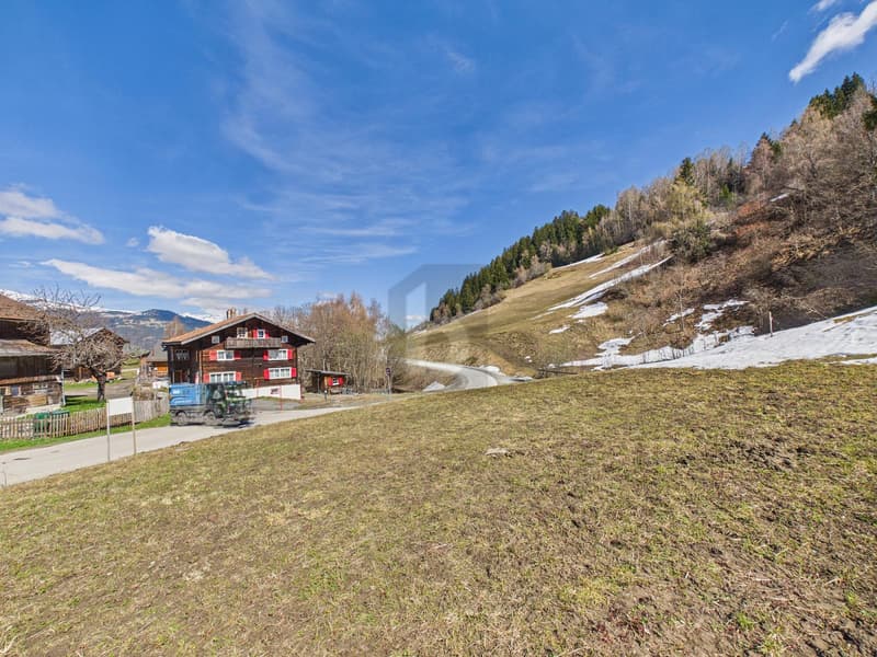 TRAUM-GRUNDSTÜCK MIT SKI-IN/SKI-OUT (3)