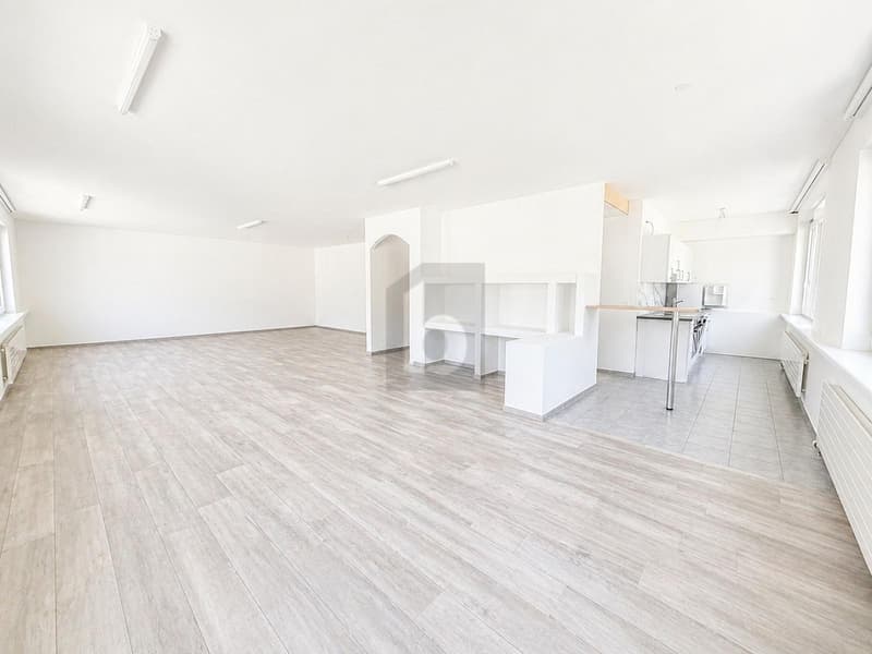 VIELFÄLTIG NUTZBAR MIT KÜCHE UND BADEZIMMER (1)