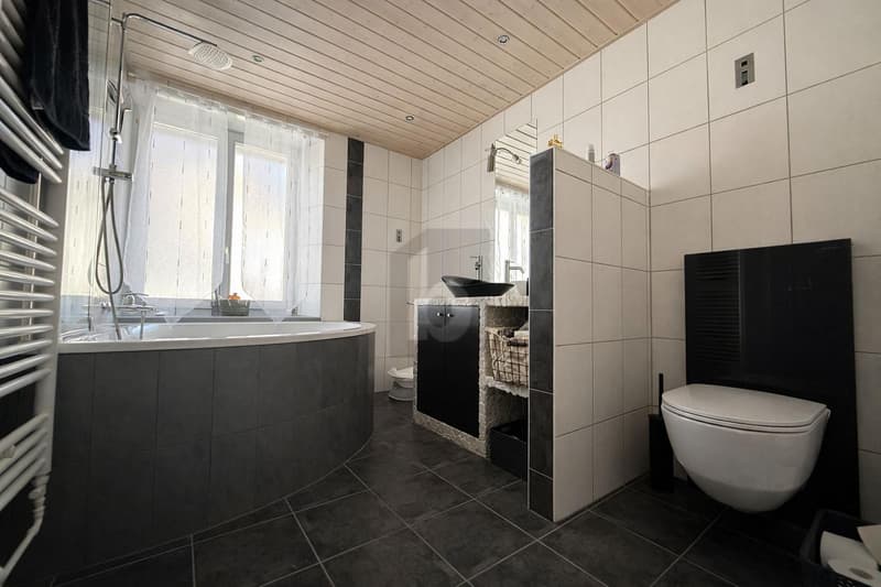 DUPLEX DEXCEPTION - CHARME ET ESPACE (5)