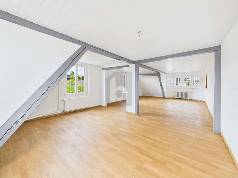 MODERNER TRAUM MIT LUXURIÖSEM AMBIENTE (1)