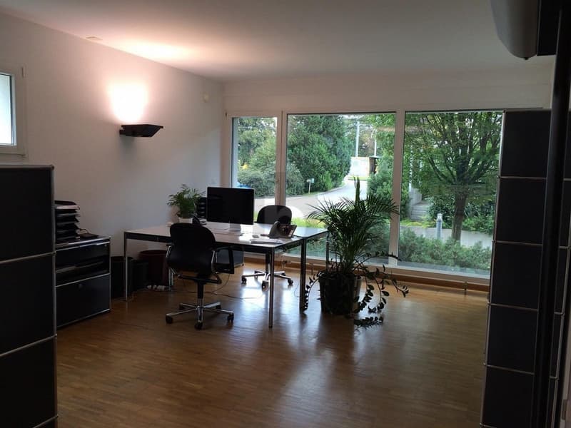 MODERN UND LICHTDURCHFLUTET (1)
