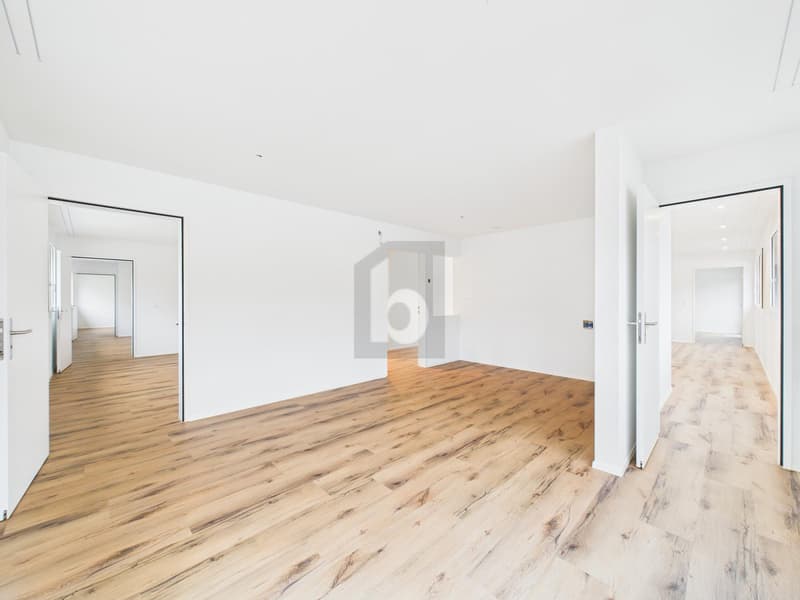 NEUBAU, HELL UND MODERN IM DORFKERN! (3)