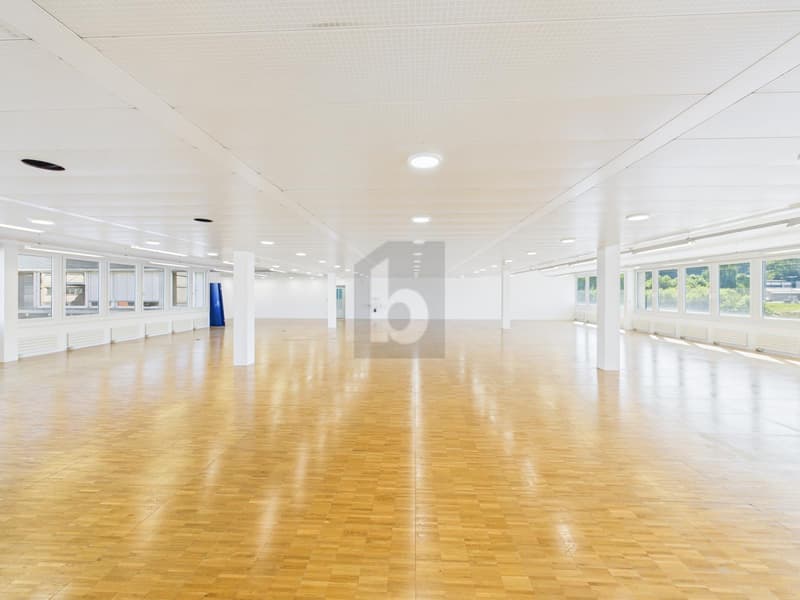 IDEAL FÜR IHR UNTERNEHMEN (5)