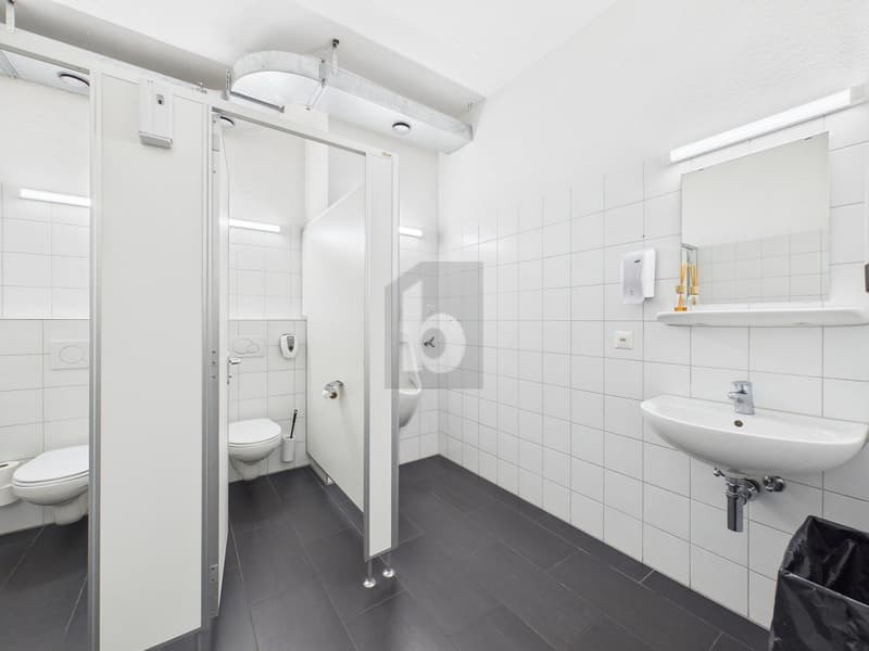RIESIGE PRODUKTIONSHALLE IDEAL FÜR IHR BUSINESS (4)
