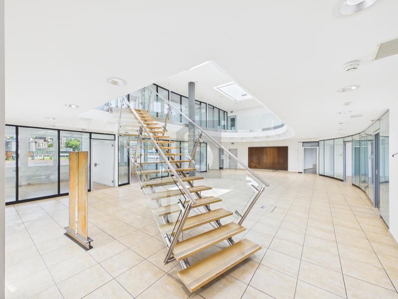 RIESIGE PRODUKTIONSHALLE IDEAL FÜR IHR BUSINESS (2)