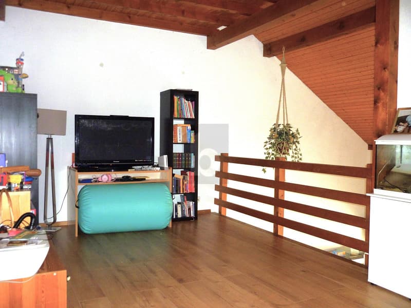 TRIPLEX SPACIEUX, CALME, DISPONIBILITÉ À CONVENIR (4)
