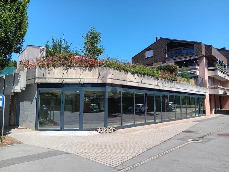 GRANDS ESPACES MODULABLES LUMINEUX ! (1)