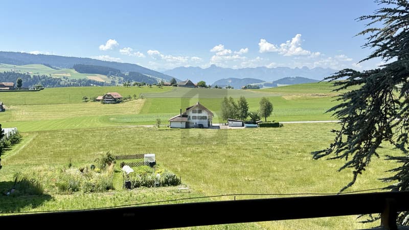 HEIMELIG IM GRÜNEN MIT GROSSEM GARTENSITZPLATZ (5)