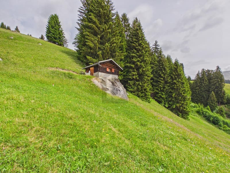 NATUR-PARADIES MIT TRAUMHAFTER WEITSICHT (2)